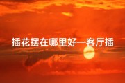 插花摆在哪里好—客厅插花风水摆放：提升家居运势的艺术之道