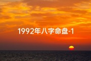 1992年八字命盘-1992年命里
