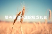 属鸡属猴子属蛇属龙和睦吗,《鸡猴蛇龙和谐共舞，吉祥如意乐融融》