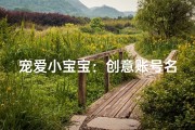宠爱小宝宝：创意账号名字大集合！