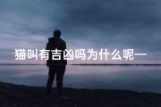 猫叫有吉凶吗为什么呢—猫叫有什么说法吗