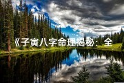 《子寅八字命理揭秘：全面解析人生运势》