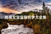 姓高女宝宝取名字大全集(女孩子取名字大全姓高属龙)