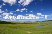 宗字取名狗宝宝男孩—《宗字传承，萌宝狗狗男孩新名揭晓》