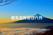 提车吉时吉日八月