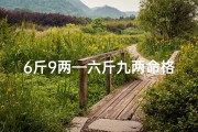 6斤9两—六斤九两命格揭秘：命运之谜揭晓