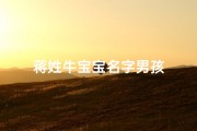 蒋姓牛宝宝名字男孩