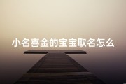 小名喜金的宝宝取名怎么取