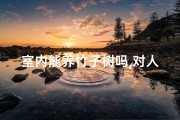 室内能养竹子树吗,对人体有害吗(室内养竹子风水奥秘揭秘)