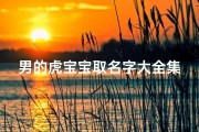 男的虎宝宝取名字大全集(2025年七月虎男宝宝取名)