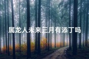 属龙人未来三月有添丁吗;属龙人未来三月有望添丁喜讯？