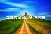 沈姓男宝宝起名;《沈姓宝宝取名大全：精选男孩名字，寓意美好》