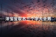 泽宝宝取名三个字大全男孩