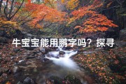 牛宝宝能用鹏字吗？探寻鹏字起名的独特魅力