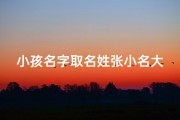 小孩名字取名姓张小名大全