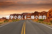 珊字小名(《二姗小孩的奇幻冒险之旅》)