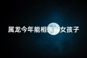 属龙今年能相亲吗女孩子_属龙今年能相亲吗女孩子怎么样