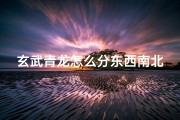 玄武青龙怎么分东西南北、《青龙玄武吉凶预测大全图秘解揭秘》