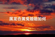 属龙合属兔婚姻如何