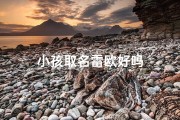 小孩取名雷欧好吗