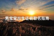 男宝宝出生证明取名指南