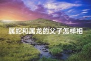 属蛇和属龙的父子怎样相处好呢,属蛇父子和谐相处之道