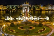 现在小孩起名都是轩—孩子起名轩字啥意思