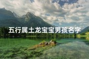 五行属土龙宝宝男孩名字：龙腾大地，土润金生