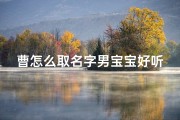 曹怎么取名字男宝宝好听两个字;《曹姓宝宝取名：如何取一个好听的名字》