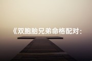 《双胞胎兄弟命格配对：姻缘天注定？》