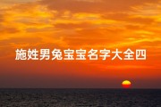 施姓男兔宝宝名字大全四个字