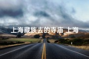 上海藏族去的寺庙_上海藏传寺庙
