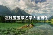 霍姓宝宝取名字大全男生(如何给霍姓男宝宝起名 )