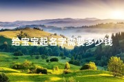 给宝宝起名字需要多少钱(需要花钱给宝宝起名字吗 )
