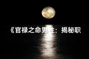 《官禄之命男性：揭秘职场成功秘诀》