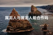 属龙人与属龙人能合作吗-龙腾并进：属龙者的默契合作之道