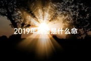 2019年属猪是什么命五行缺什么,2019年属猪五行命格揭秘：运势解析与人生指引