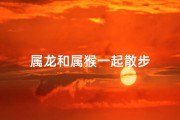 属龙和属猴一起散步