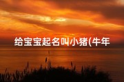 给宝宝起名叫小猪(牛年独特男宝宝乳名,属牛男孩最吉利的小名)