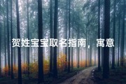 贺姓宝宝取名指南，寓意深远、朗朗上口的名字推荐