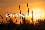 石河子给小孩起名_石河子给小孩起名字大全
