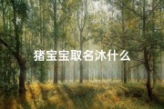 猪宝宝取名沐什么