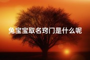 兔宝宝取名窍门是什么呢_兔宝宝取名窍门：如何取个吉祥好名？
