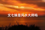 文七妹是风水大师吗