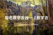 取名数字吉凶—《数字吉凶查询表大全：揭秘数字背后的运势奥秘》