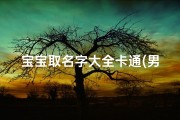 宝宝取名字大全卡通(男宝宝取名小名大全)