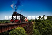 超级吸睛！为宝宝取名承生成双名字必备攻略