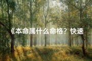 《本命属什么命格？快速计算方法揭秘》