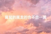 属鼠的属龙的合不合—属鼠佳偶还是龙凤配？婚姻命理大揭秘