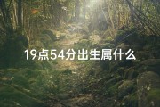 19点54分出生属什么时辰_《揭秘19点出生：五行命格揭秘，命运轨迹一探究竟》